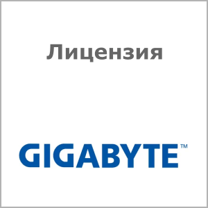 Лицензия Gigabyte 25FD0-R281N0-10R